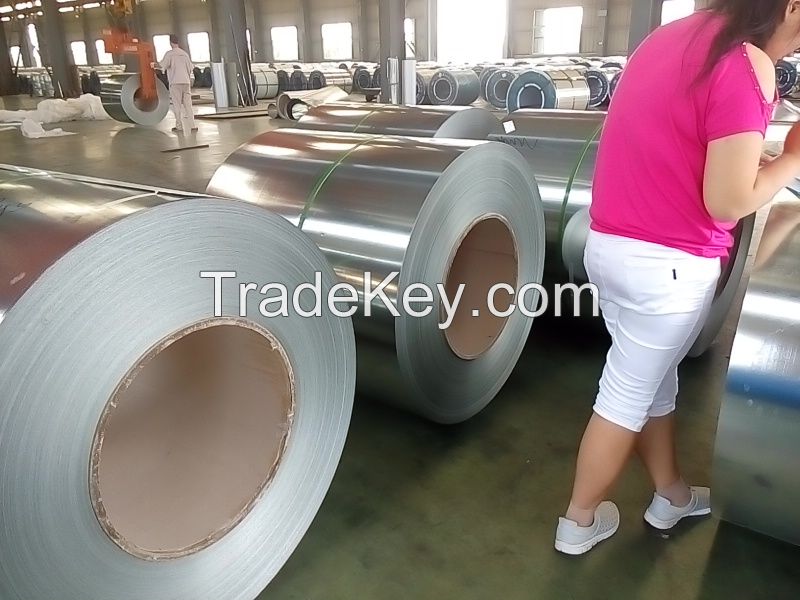 Galvanized Steel Coils