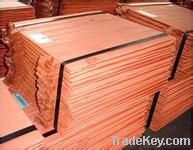 Copper  Cathode