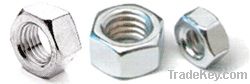 Bolt nut