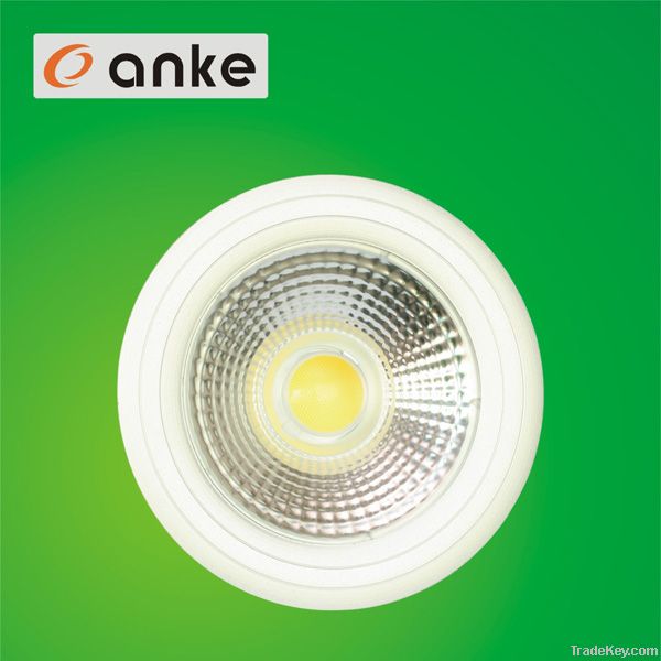 15W COB LED PAR38