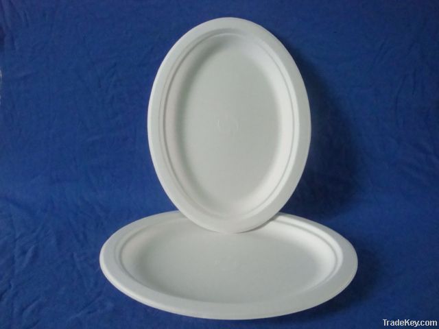 disposable paper plate