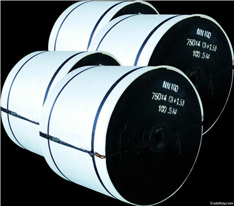 Nylon conveyor belt