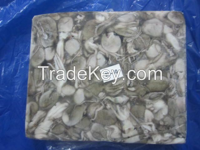 Octopus, Cuttlefish, Loligo Squid whole