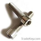 Hexagon socket cap head bolts