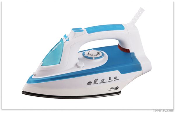 Steam iron