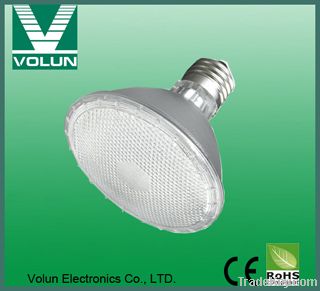 PAR30 LED Spotlight