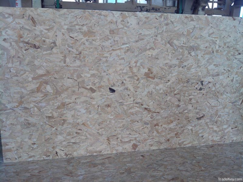 OSB board plywood