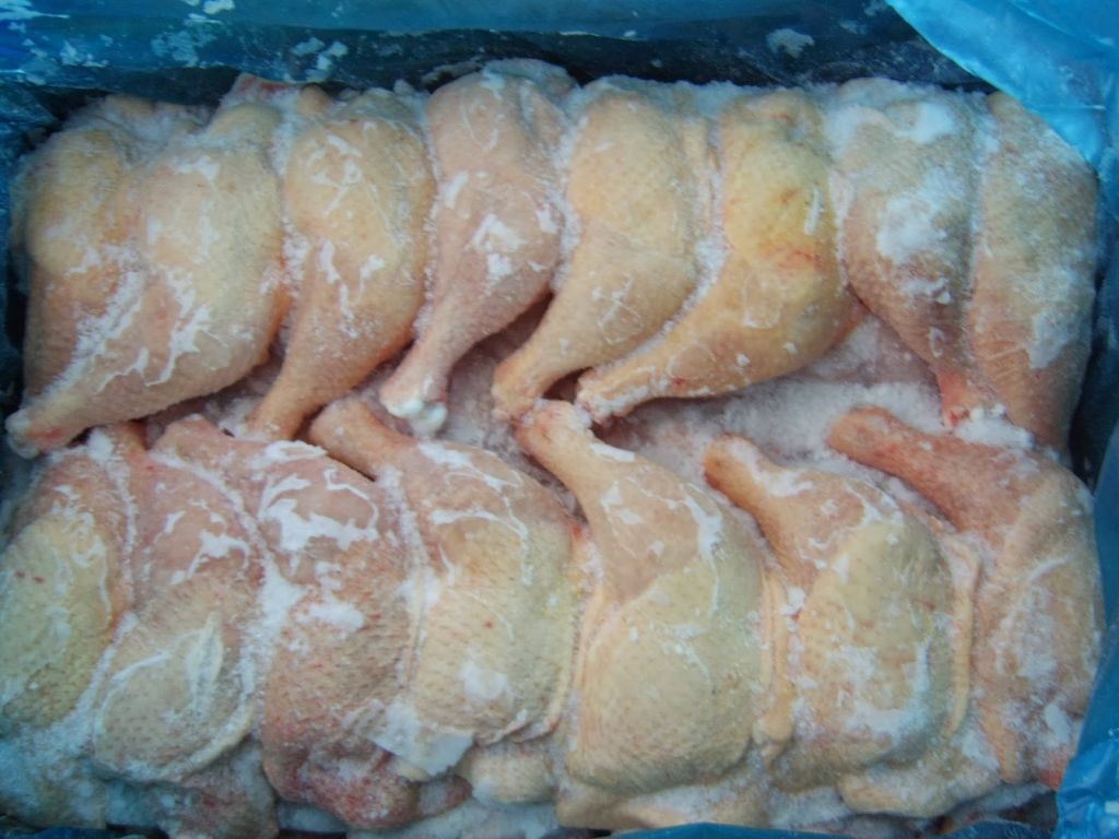 Halal whole frozen chicken