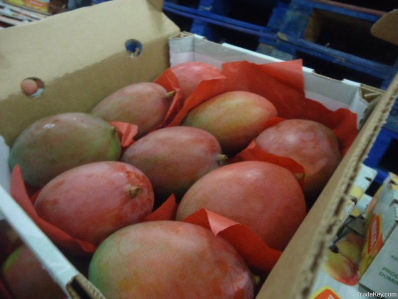 GLOBALGAP MANGOES