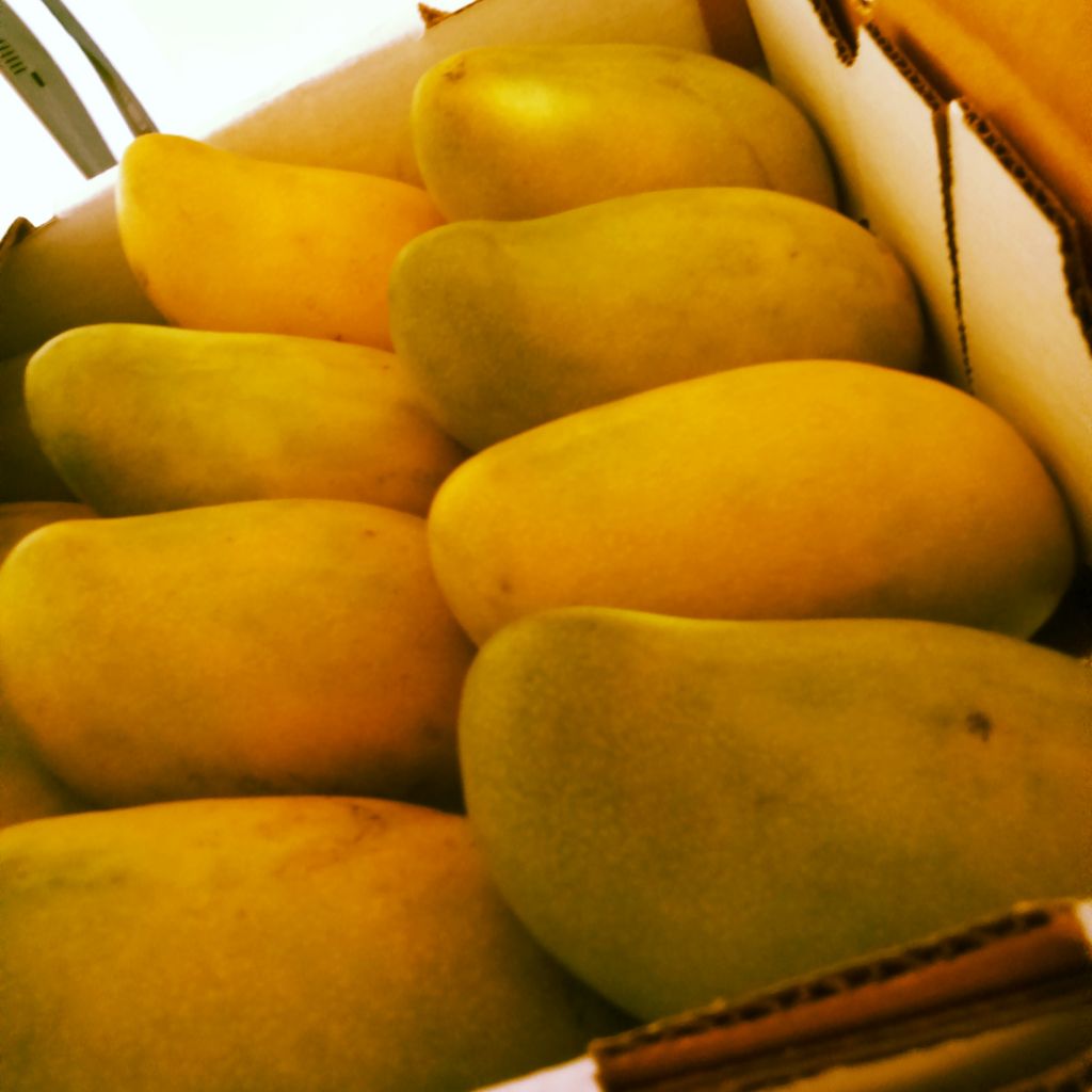 Yellow Mangos ORO