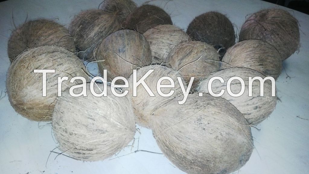 Dry coconuts