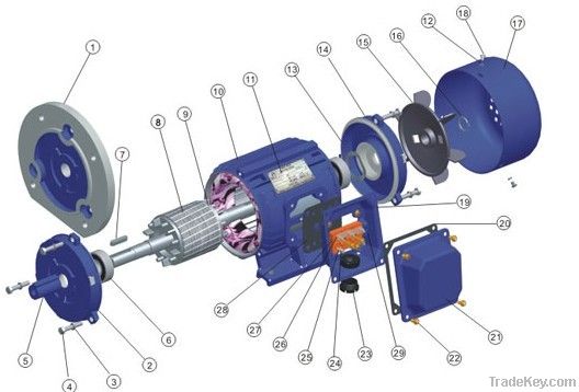 Ie2 Y Series Three Phase Motor