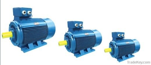 Y2 Series Motors