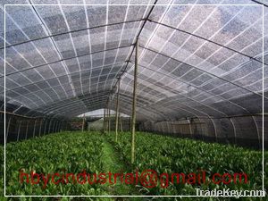 30%--90%hide shade rate sun shade net