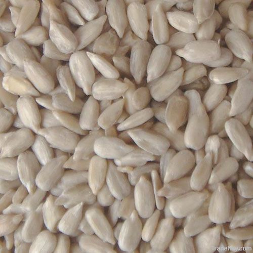 Cheap Bakery Sunflower Seed Kernels