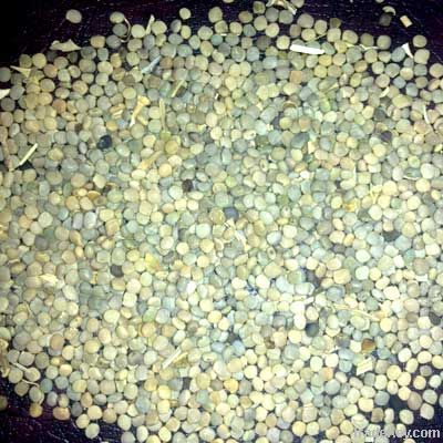 Guar Seeds