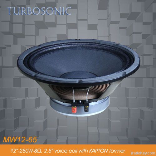 apply to column/power amplifier/12&#039;&#039; woofer speaker