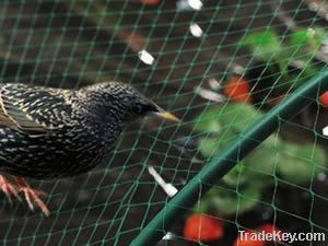 Anti-Bird Netting