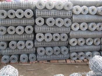 Welded Wire Mesh