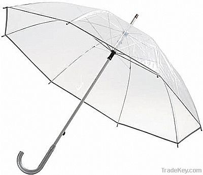 Clear Umbrella