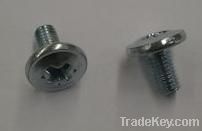 Machine Screw