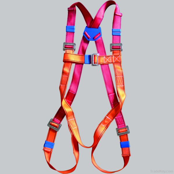 Full Body Harness