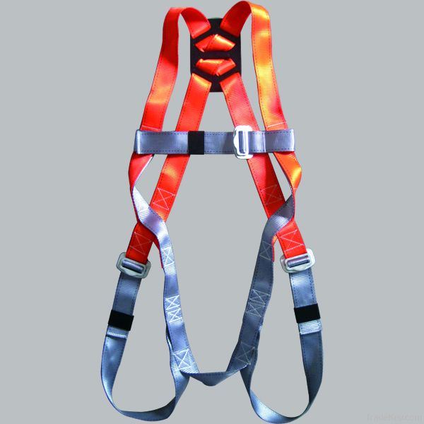 Full Body Harness