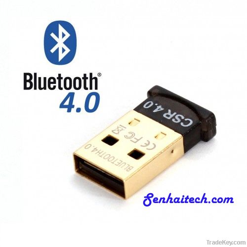 Bluetooth Dongle BTD01