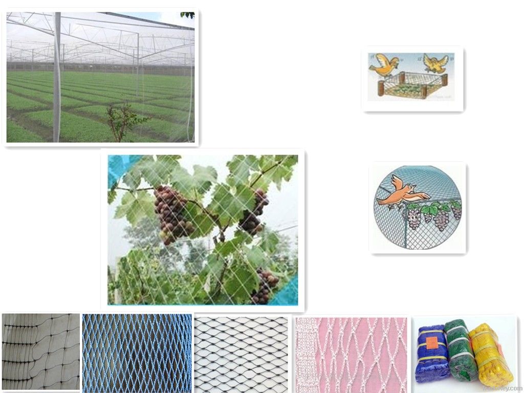 HDPE birds net for vegetables or trees/flowers