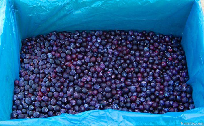 Fresh Blueberries