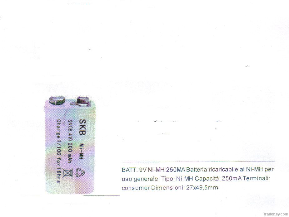 Ni-Mh battery