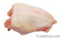 Chicken Breast