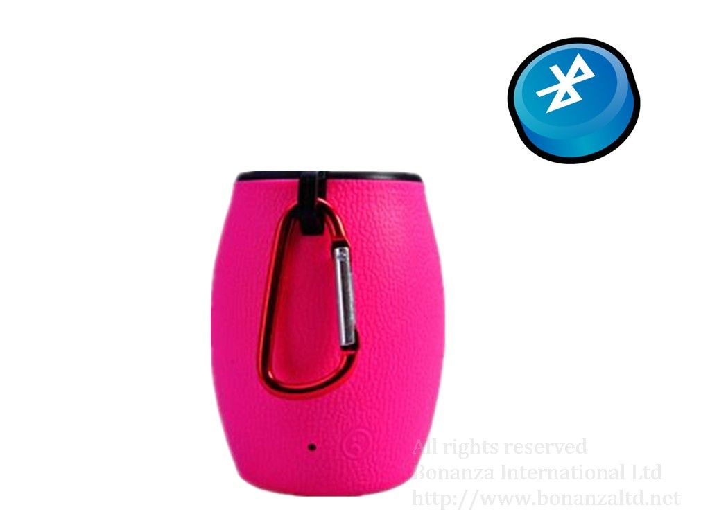 BSP205 bluetooth speaker