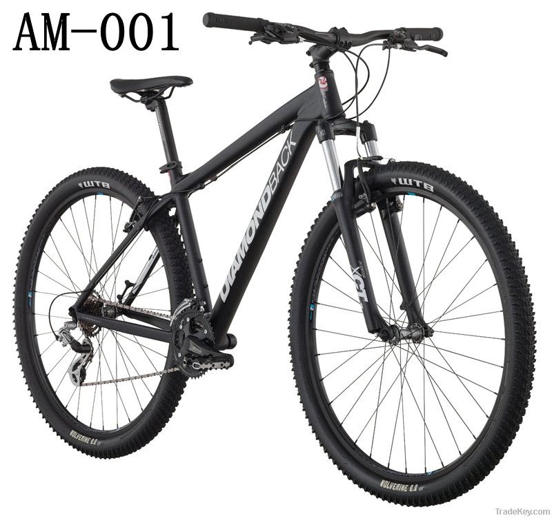 29-Inch Wheels Mountain Bike