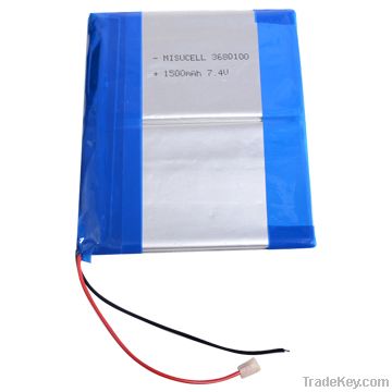 lithium ion battery