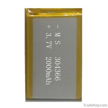 lithium polymer battery