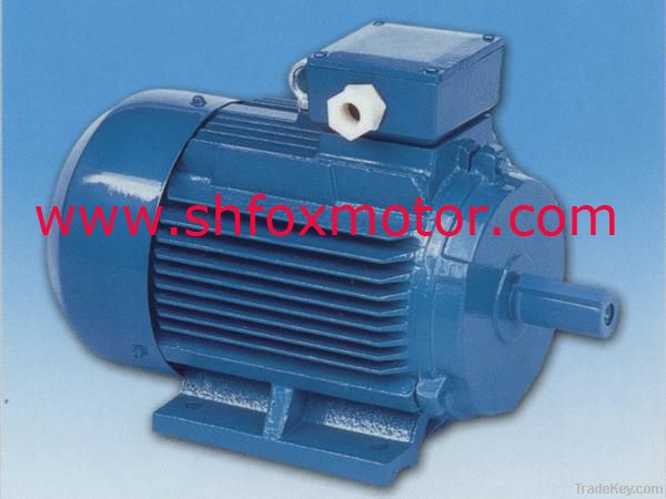 Y2 series three-phase induction AC motors, AC motor