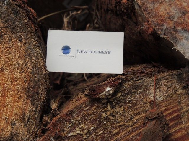 Pine logs with bark - Taeda