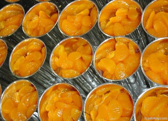 Canned Mandarin Orange/Canned Fruits