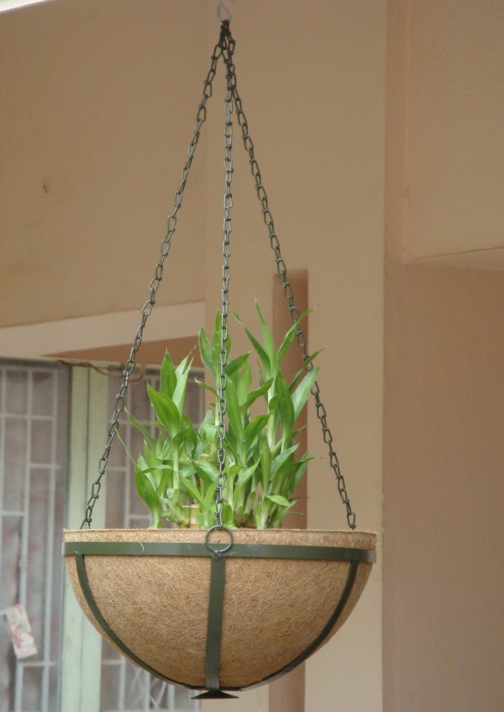 Hanging Basket