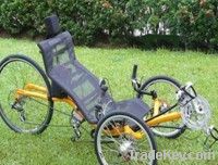 Electric Recumbent Trike