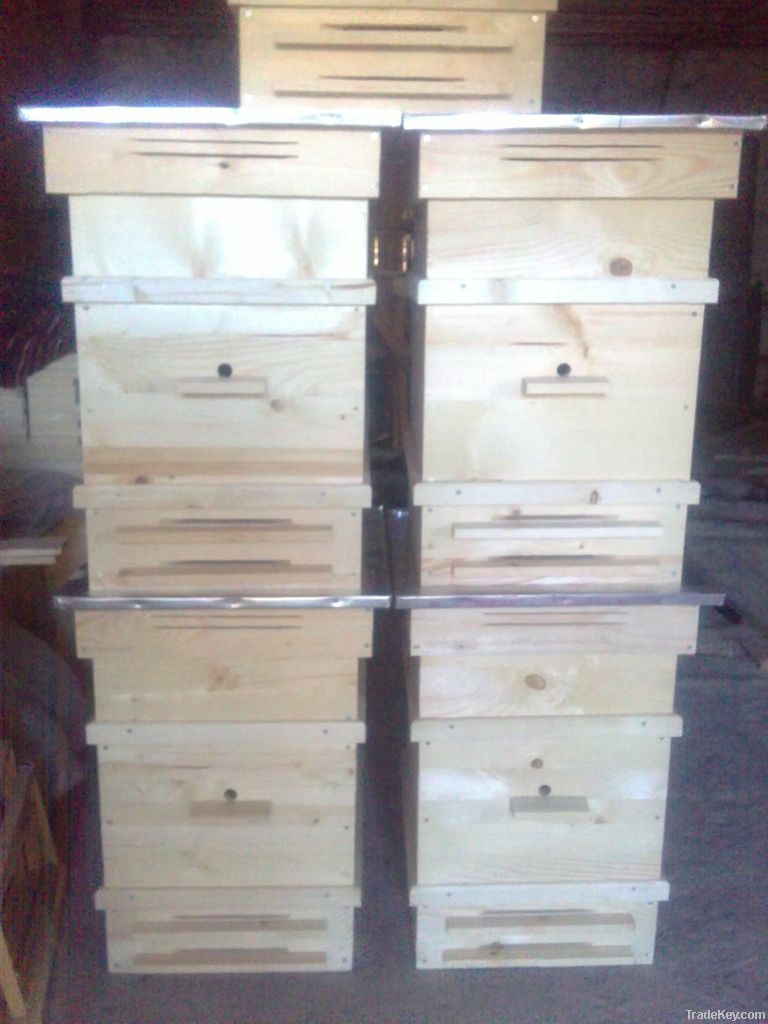 Beehives and frames