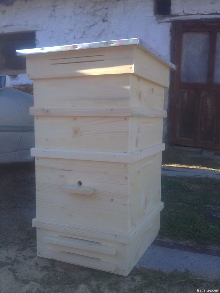 Beehives and frames