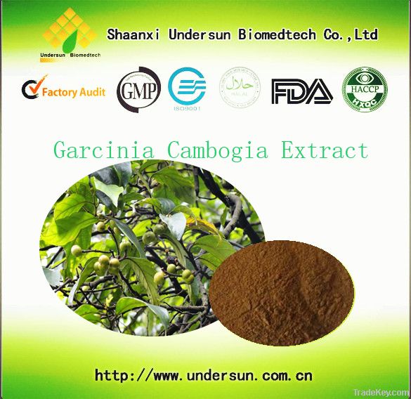 Garcinia Cambogia Extract