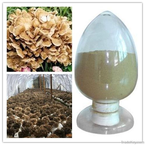 Maitake mushroom Extract