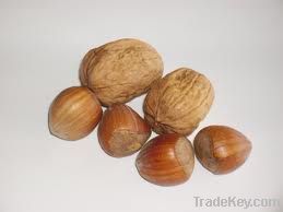 Hezel nuts