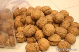 walnut kernels