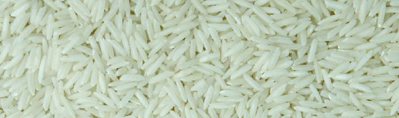 RICE SUPPLIER| PARBOILED RICE IMPORTERS | BASMATI RICE EXPORTER| KERNAL RICE WHOLESALER| WHITE RICE MANUFACTURER| LONG GRAIN TRADER| BROKEN RICE BUYER | IMPORT BASMATI RICE| BUY KERNAL RICE| WHOLESALE WHITE RICE| LOW PRICE LONG GRAIN