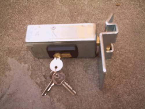 Electric Door Lock