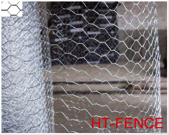 Galvanized or PVC coated hexagonal wire mesh